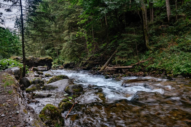 istock Mountain stream in High Tatras National Park, Poland 1224338192