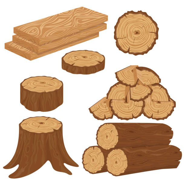 zestaw drewnianych kłód dla przemysłu drzewnego z pniami i deskami w stylu kreskówkowym. pnia drzew, kłody, pnie, deski stolarne, pniaki, gałązka, gałązki - tree ring stock illustrations