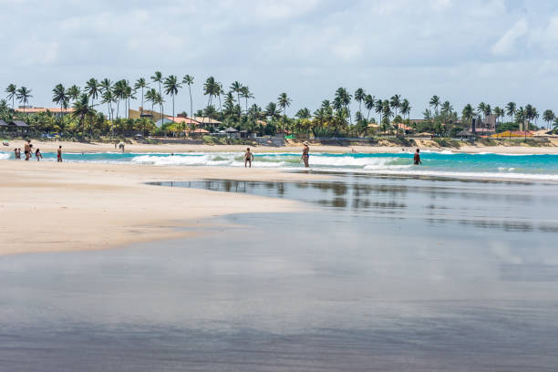 istock Beaches of Brazil - Porto de Galinhas Beach, Ipojuca - Pernambuco state 1224343200