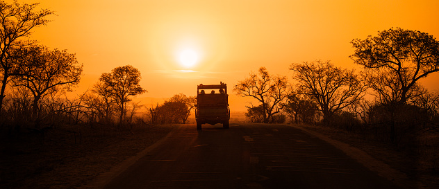 Silhouette of safari vehicle with unidentifiable people, on the brow of a hill at sunset, with golden sunlight and silhouettes of trees. Kruger National Park, South Africa.