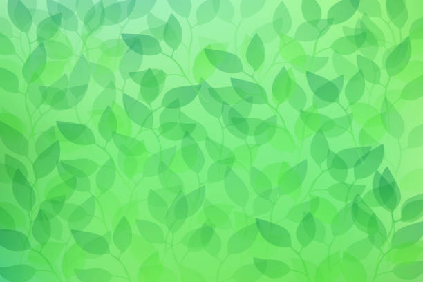 Green transparent leaves seamless pattern background Transparent leaves on green background. the natural world stock illustrations