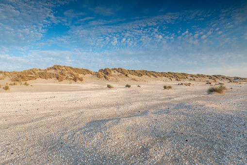 dunes along the Dutch coast near The Hague; Kijkduin, Netherlands