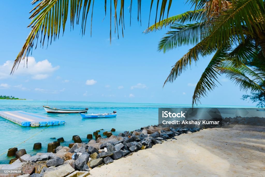 Coconut fringed beach Kalpeni Island, Lakshadweep Islands, India Lakshadweep Stock Photo