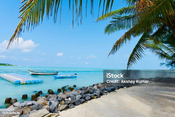 Coconut Fringed Beach Stock Photo - Download Image Now - Lakshadweep, Beach, India