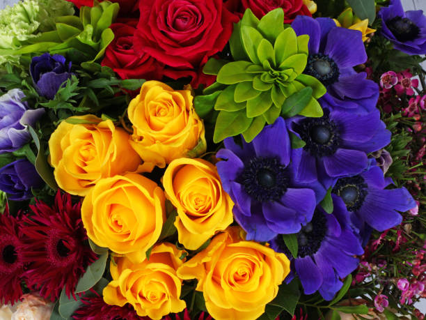 Flower arrangement background with roses