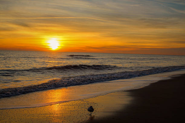 istock Early morning sunrise at the beach 1224353049