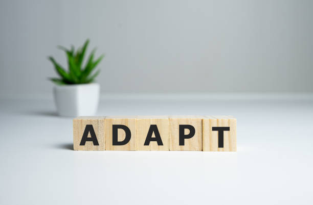 istock ADAPT word made with building blocks, change concept. 1224355888