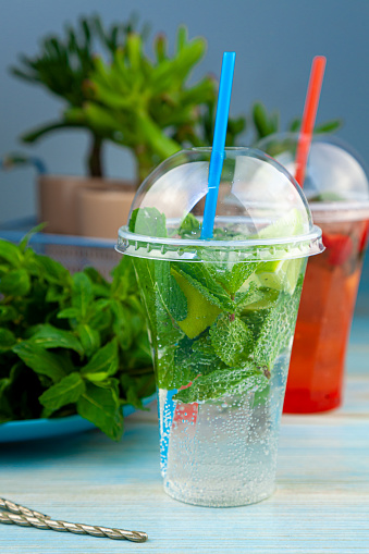 https://media.istockphoto.com/id/1224360534/photo/mojito-and-lemonade-summer-cold-drink-in-a-plastic-glass-with-a-straw-coctail-with-mint-lemon.jpg?s=170667a&w=0&k=20&c=tEFlkJImCR3I8Db-RblYRX2cNmhsENXyQCwPxKFToO0=