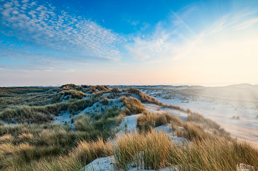 sand dunes along the Dutch coast near The Hague; Kijkduin, Netherlands