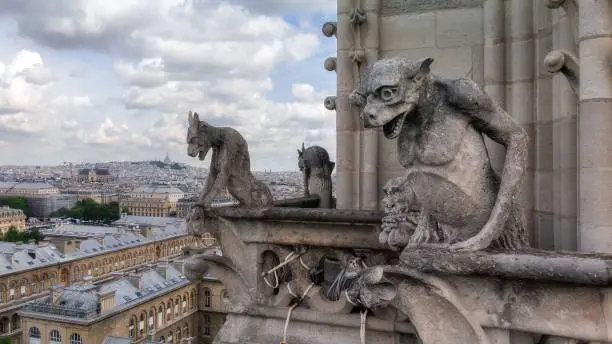 Gargoyle at the Paris famous cathedral