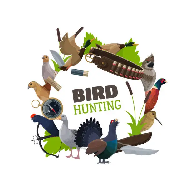 Vector illustration of Wildfowl birds and hunting ammunition