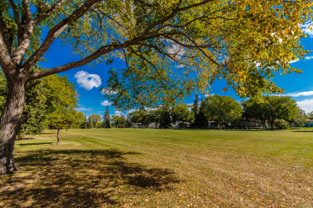 istock Brevoort Park South 1224368173