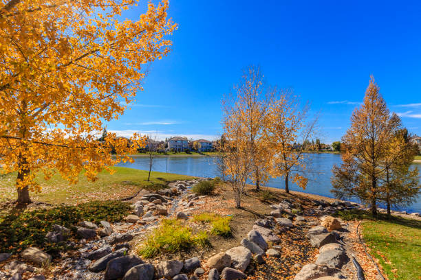 istock Briarwood Lake Park 1224368423