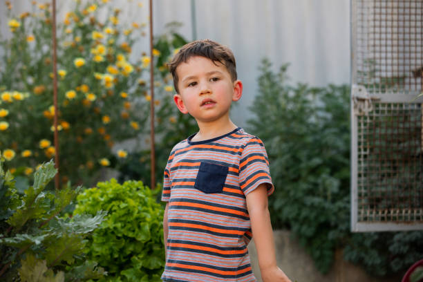 szczęśliwy mały chłopiec - bush child gardening sunlight zdjęcia i obrazy z banku zdjęć