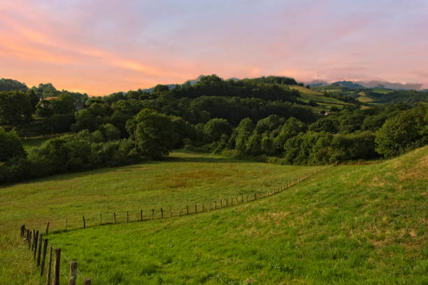 istock Camino de Santiago as it passes through Navarra 1224370520