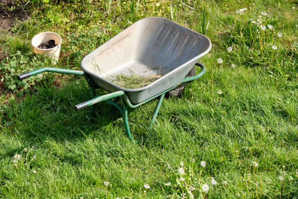 Wheelbarrow in a mature garden in spring, with a lawn, flower bed and trees