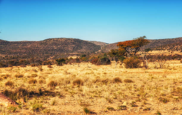 istock South african landscape, Nature Backgrounds 1224371176