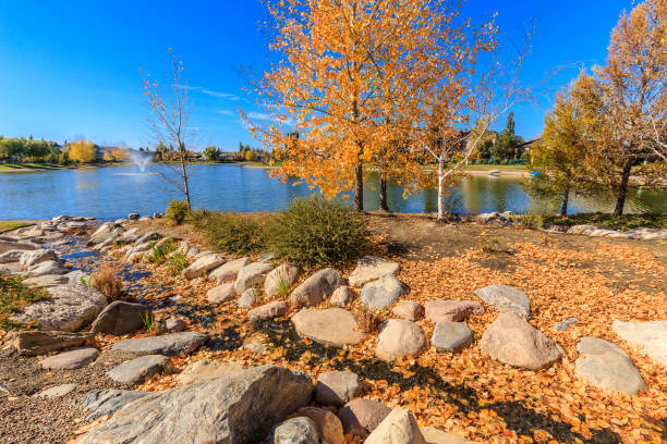 istock Briarwood Lake Park 1224374009