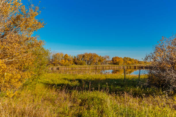 istock Donna L. Birkmaier Park 1224374167