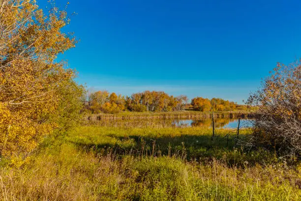 Donna L. Birkmaier Park is located in the Briarwood neighborhood of Saskatoon.