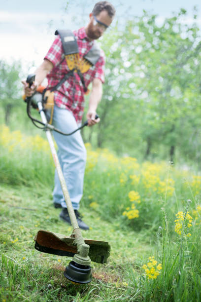istock Low angle view of a young man mowing grass in orchard using a string trimmer 1224374643