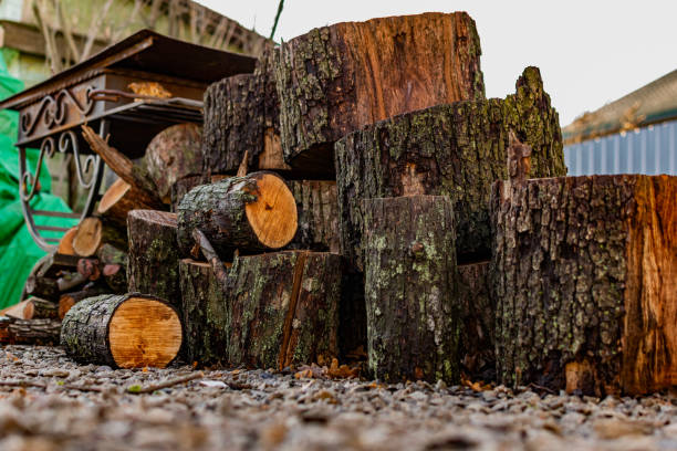 prepared firewood for the grill and stove. sawn down thick and thin tree trunks, wet and wet logs, stacked on rubble, - 5461 imagens e fotografias de stock