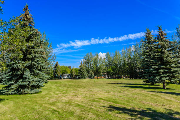 istock Dr. Gerhard Herzberg Park 1224375249