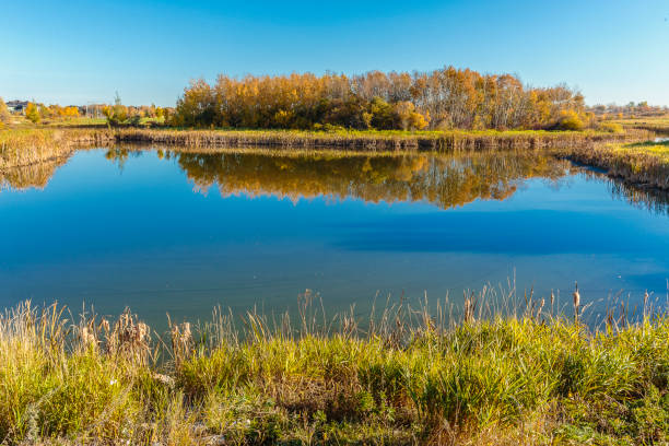 istock Donna L. Birkmaier Park 1224375326