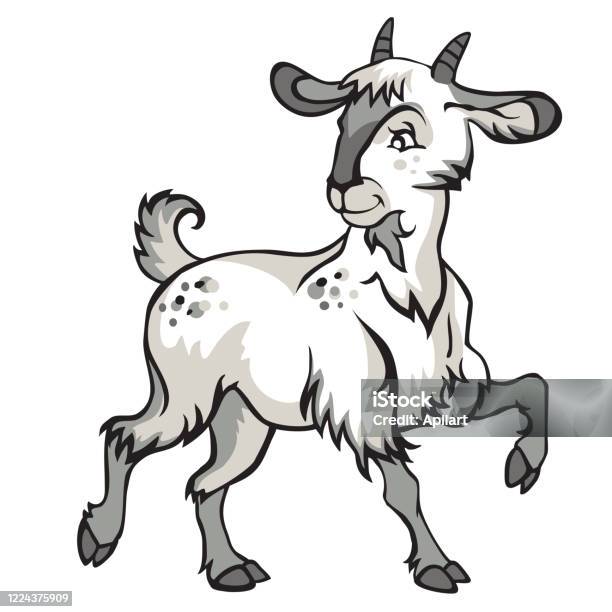 White Goat Stock Illustration - Download Image Now - Goat, Cartoon, Young  Goat - Kid - iStock