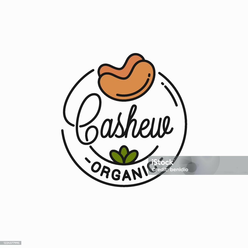 Kinh Doanh Hạt Điều: Toàn Diện Về Xuất Khẩu, Thách Thức và Cơ Hội