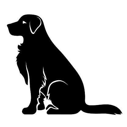 Vector black silhouette of a sitting retriever dog isolated on a white background.