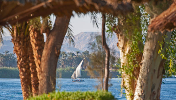 istock Traditional egyptian felluca sailing boat on Nile 1224378143