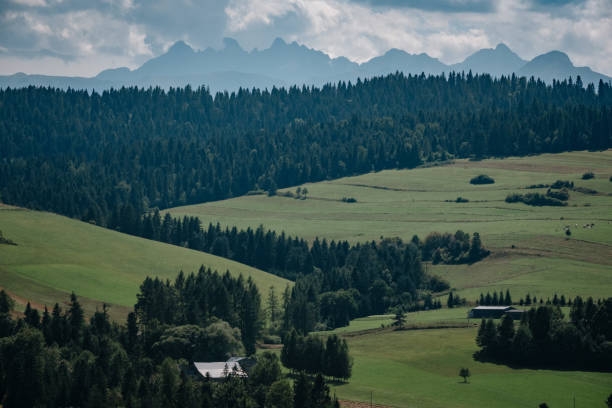 istock Meadow scenery landscape with blue sky concept. 1224381860