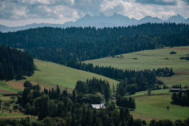 istock Meadow scenery landscape with blue sky concept. 1224382760