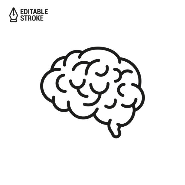 人腦在白色背景上隔離的可編輯描邊向量輪廓圖示 - brain 幅插畫檔、美工圖案、卡通及圖標