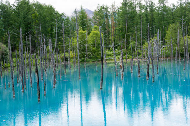istock Blue pond in early summer 1224382931