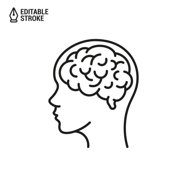 머리에 인간의 뇌. 흰색 배경에서 편집 가능한 선이 분리된 벡터 윤곽선 아이콘 - brain stock illustrations
