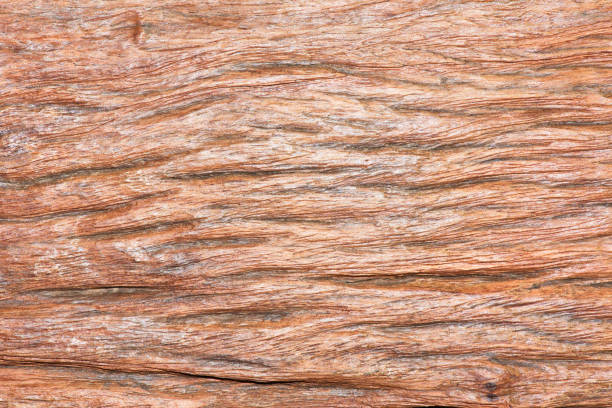 istock The old wood Backgrounds Textures. 1224382978
