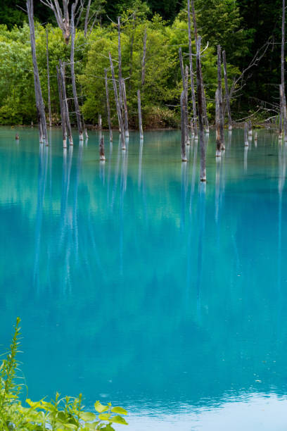 istock Blue pond in early summer 1224383533
