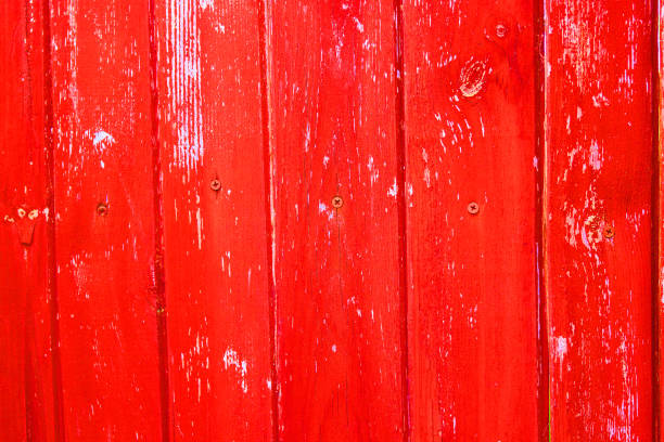 istock wooden background with beautiful texture of old tree 1224386783