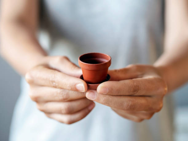 woman holding mini flower pot