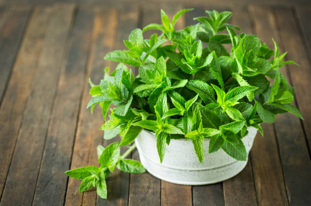istock Fresh organic mint leafs in the bowl 1224395521