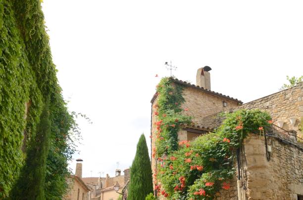 istock Plants on stone houses 1224398451