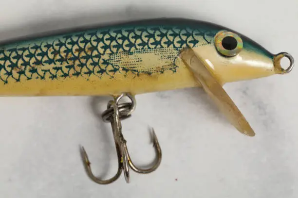 spinning fishing lures for predator , fishhook object
