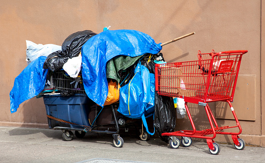 Homeless person's belongings piled on carts covered with plastic tarps.