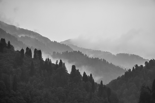 Black and White Mountains with Fog
