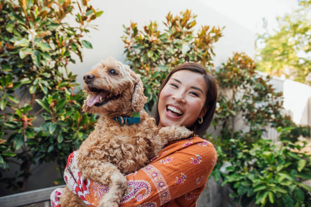 je t'aime! - dog pets healthy lifestyle cheerful photos et images de collection