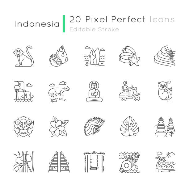 Indonesia linear icons set. Tropical country animals, plants. Indonesian islands. Exotic traditions. Thin line contour symbols. Isolated vector outline illustrations. Editable stroke. Perfect pixel Indonesia linear icons set. Tropical country animals, plants. Indonesian islands. Exotic traditions. Thin line contour symbols. Isolated vector outline illustrations. Editable stroke. Perfect pixel komodo dragon drawing stock illustrations