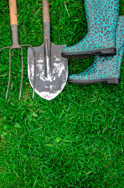istock Garden tools and garden shoes lie on grass 1224406298