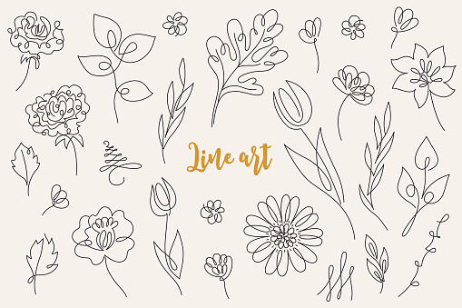 Abstract line art floral collection. Set of hand drawn outline trendy flowers, leaves, tulip, rose, gerbera isolated on beige background. Vector illustration